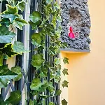 Le Radici Di Parthenope Apartment Neapel
