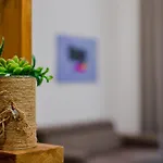 Le Radici Di Parthenope Apartment Neapel